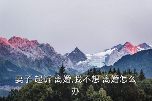 妻子 起訴 離婚,我不想 離婚怎么辦