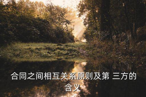 合同之間相互關系原則及第 三方的含義