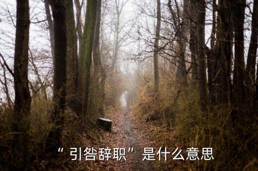“ 引咎辭職”是什么意思