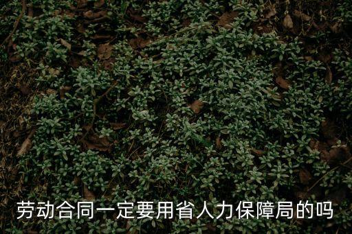 勞動合同一定要用省人力保障局的嗎