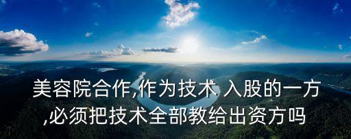 美容院投資入股合同