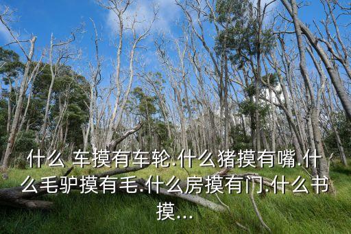 什么 車(chē)摸有車(chē)輪.什么豬摸有嘴.什么毛驢摸有毛.什么房摸有門(mén).什么書(shū)摸...