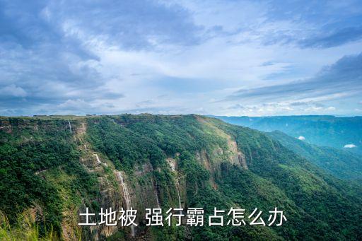 國(guó)有土地被強(qiáng)行占用怎么辦呢