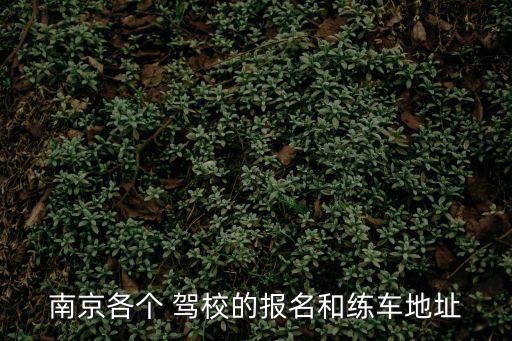 鐘山駕校