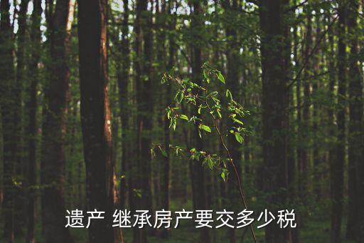 遺產(chǎn) 繼承房產(chǎn)要交多少稅