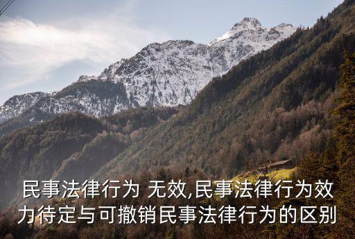 民事法律行為 無效,民事法律行為效力待定與可撤銷民事法律行為的區(qū)別