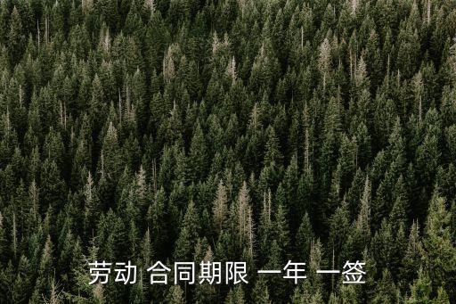 勞動 合同期限 一年 一簽