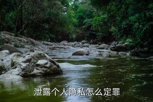 泄露個人信息 刑法,泄露了個人信息會被網(wǎng)貸嗎