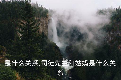 姑媽是什么關系,司徒先生和姑媽是什么關系