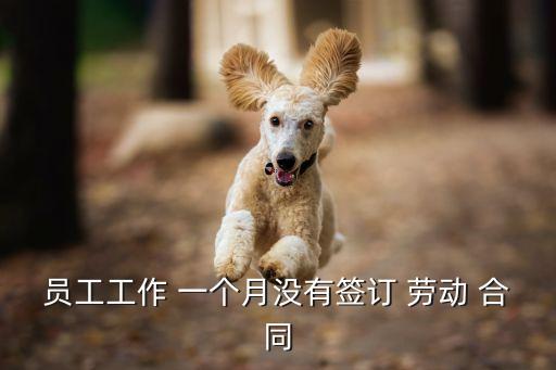 員工工作 一個月沒有簽訂 勞動 合同