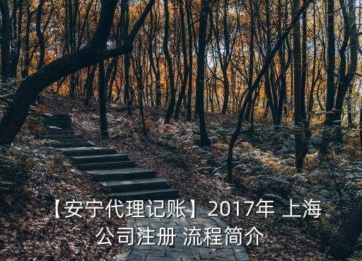 上海注冊公司流程,如何在上海注冊公司流程