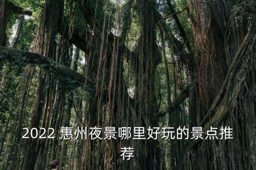 2022 惠州夜景哪里好玩的景點推薦