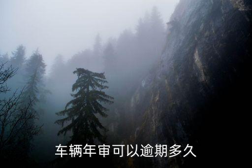 審車(chē)過(guò)期允許多長(zhǎng)時(shí)間,汽車(chē)檢測(cè)線設(shè)備大概多少錢(qián)