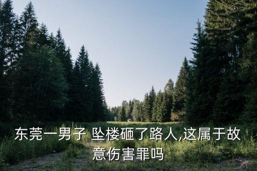 東莞一男子 墜樓砸了路人,這屬于故意傷害罪嗎