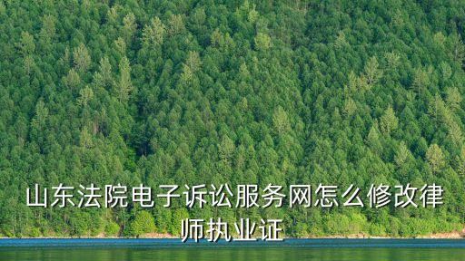 山東人民法院