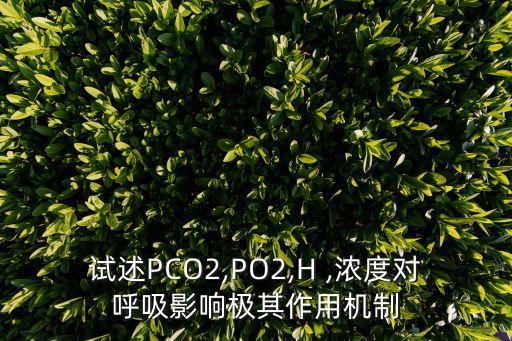 試述PCO2,PO2,H ,濃度對呼吸影響極其作用機(jī)制