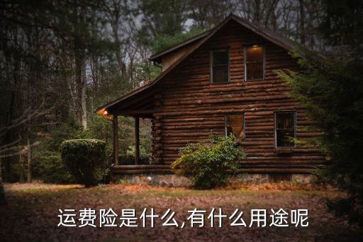  運(yùn)費(fèi)險(xiǎn)是什么,有什么用途呢