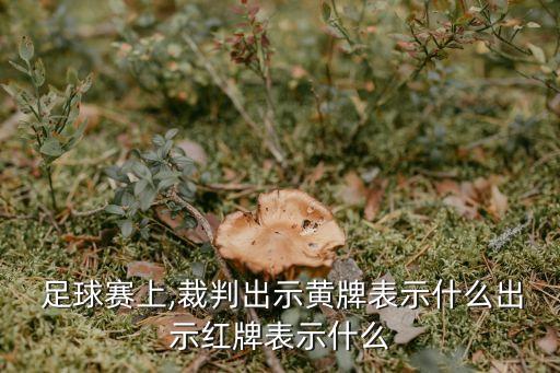  足球賽上,裁判出示黃牌表示什么出示紅牌表示什么