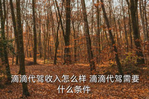  滴滴代駕收入怎么樣 滴滴代駕需要什么條件