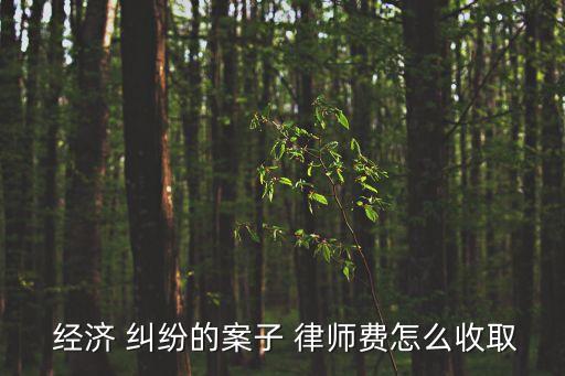 經濟糾紛律師,北京經濟糾紛律師