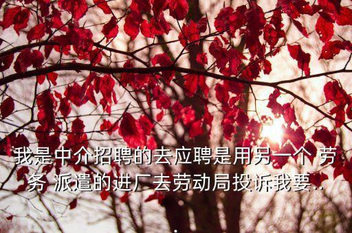 我是中介招聘的去應(yīng)聘是用另一個 勞務(wù) 派遣的進廠去勞動局投訴我要...