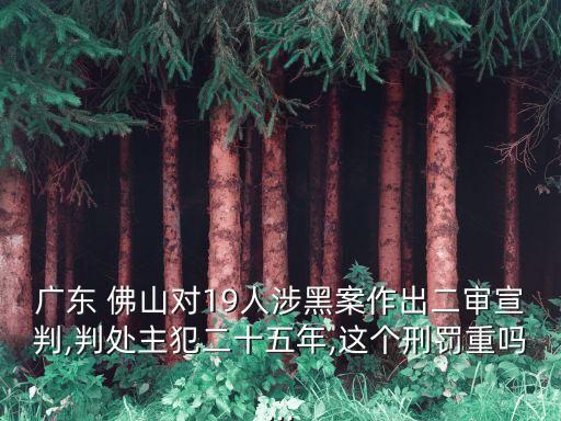 佛山中院,謝少清佛山中院