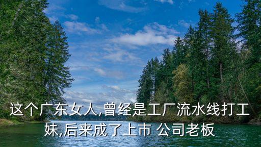 影子公司,玉溪礦治韓睿影子公司