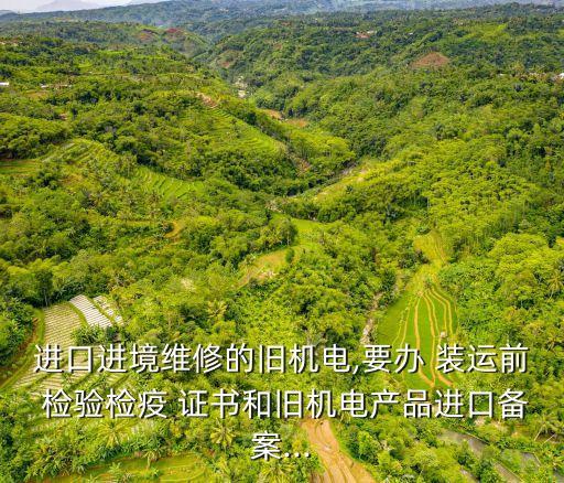 裝運(yùn)前檢驗(yàn)證書
