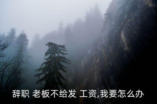 離職以后老板不發(fā)工資怎么辦,拖欠工資打12345管用嗎