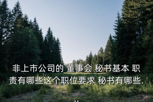 非上市公司的 董事會(huì) 秘書基本 職責(zé)有哪些這個(gè)職位要求 秘書有哪些...