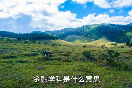 什么叫金融,什么是金融行業(yè)