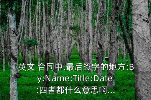  英文 合同中,最后簽字的地方:By:Name:Title:Date:四者都什么意思啊...