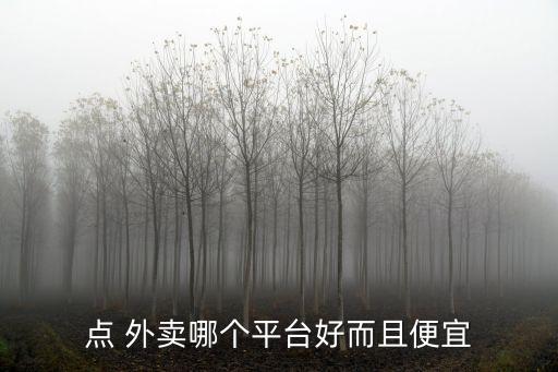 網(wǎng)上外賣