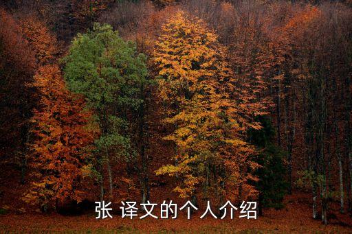 張譯文