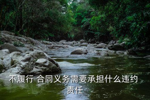 不按合同應負什么法律責任,漏稅應負什么法律責任?