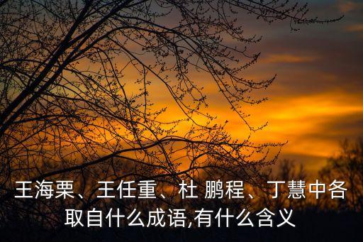 王海栗、王任重、杜 鵬程、丁慧中各取自什么成語,有什么含義
