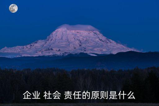 企業(yè) 社會 責任的原則是什么