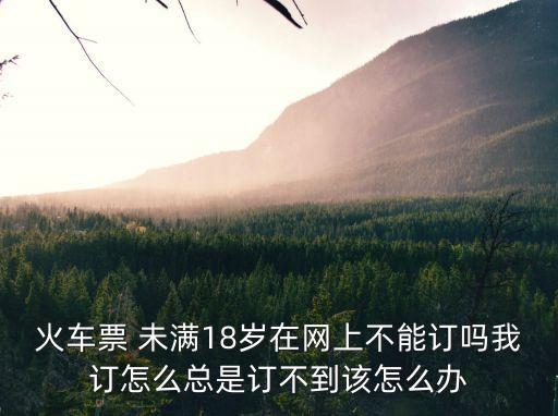 火車(chē)票 未滿(mǎn)18歲在網(wǎng)上不能訂嗎我訂怎么總是訂不到該怎么辦