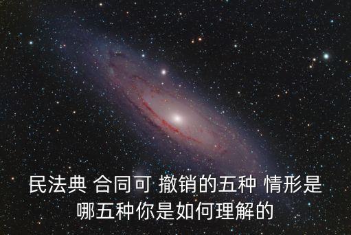 民法典 合同可 撤銷的五種 情形是哪五種你是如何理解的