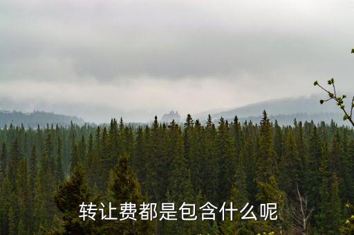 轉(zhuǎn)讓費