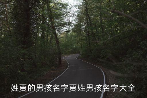賈小龍