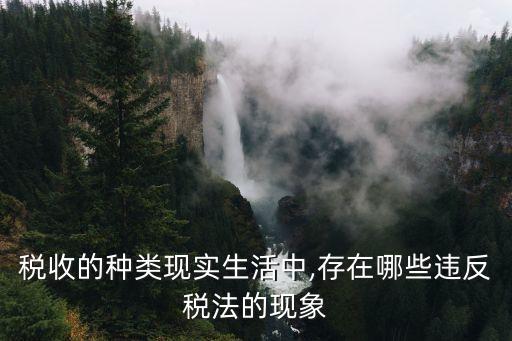 稅收的種類現(xiàn)實(shí)生活中,存在哪些違反稅法的現(xiàn)象