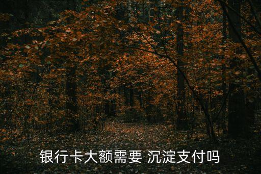 銀行卡大額需要 沉淀支付嗎