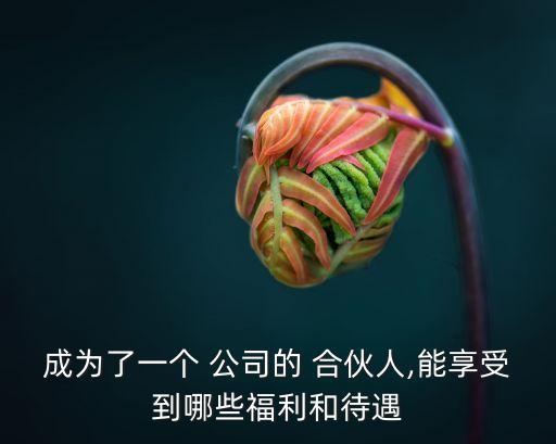 成為了一個(gè) 公司的 合伙人,能享受到哪些福利和待遇