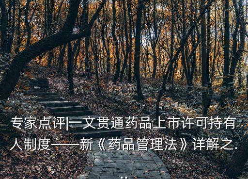 新法