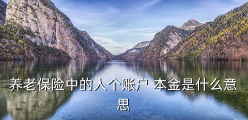 養(yǎng)老保險(xiǎn)中的人個(gè)賬戶 本金是什么意思