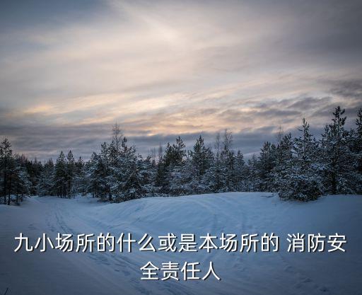 山東省消防條例