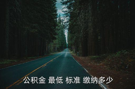  公積金 最低 標(biāo)準(zhǔn) 繳納多少