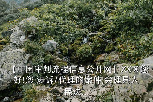 【中國審判流程信息公開網(wǎng)】XXⅩ您好!您 涉訴/代理的案件,會理縣人民法...