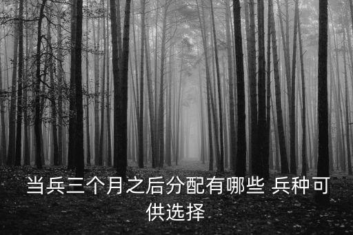  當(dāng)兵三個(gè)月之后分配有哪些 兵種可供選擇